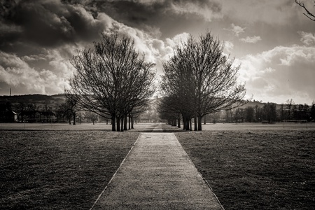 Shot of a Pretty Pathway in Perth Scotlandの写真素材