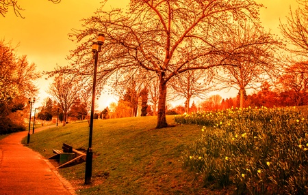 Shot of a Park Bench in Perth Scotlandの写真素材