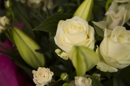A close shot of Beautiful wedding flowersの写真素材