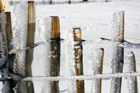 Freezing Fenceの写真素材