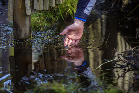 Man touching a frogの写真素材