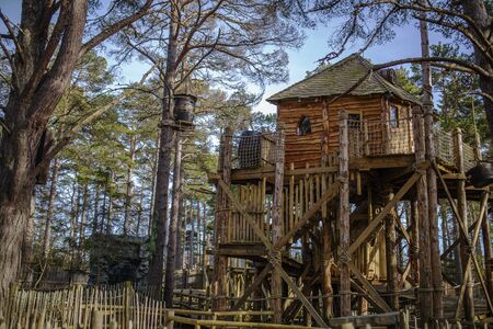 Tree house in a forrestの写真素材