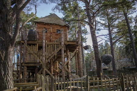 A cool treehouse in a forrestの写真素材