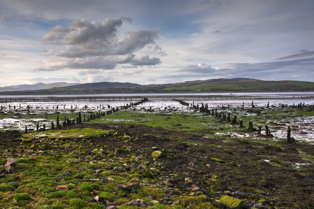 A shot of a river bank in Largs,の写真素材