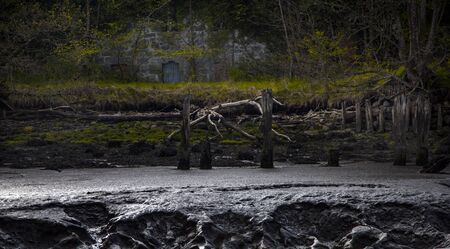 Creepy house on the River Forthの写真素材