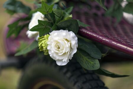 Shot of a pretty Flower on horse Cartの写真素材