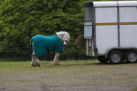 Shot of a Beautiful Horse feeding on Hayの写真素材