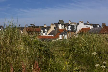 Houses through tall grass in Elie Scotlandの写真素材