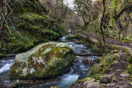 Shot of a big Rock in Scottish riverの写真素材