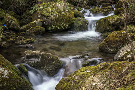 Alva Glen River in Alva Scotlandの写真素材