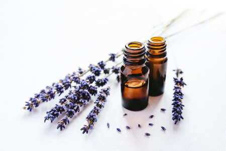 Dried lavender with a bottle of essential oil on white background.の写真素材