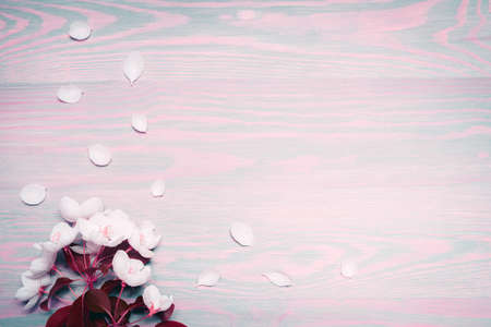 Beautiful spring apple flowers on wooden background. Frame composition. Copy space for text.の写真素材