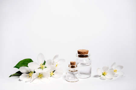 Spa natural cosmetic concept. White background with copy space for text.の写真素材