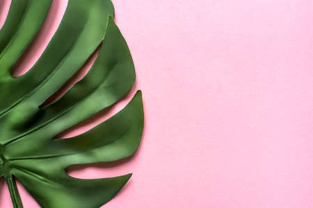 Monstera leaf on a pink background. Flat lay, top view. Place for your text.の写真素材