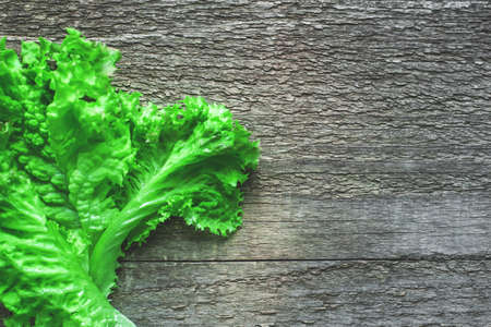 Leaves of fresh green salad on wooden table. Copy space.の写真素材