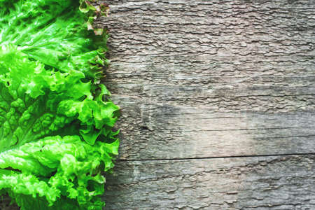 Leaves of fresh green salad on wooden table. Copy space.の写真素材