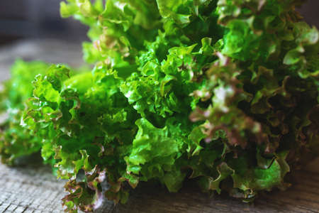 Bunch of fresh green salad on wooden table.の写真素材