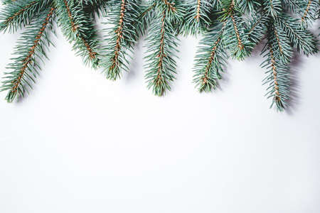 Fir branches on white wooden background. Christmas wallpaper. Flat lay, copy space.の写真素材