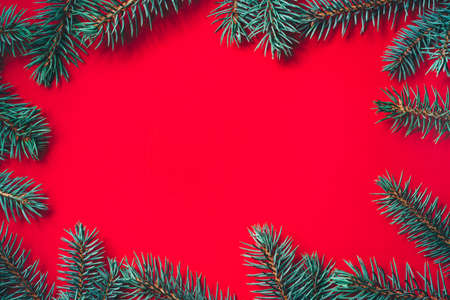Fir branches on red background. Christmas wallpaper. Flat lay, copy space.の写真素材