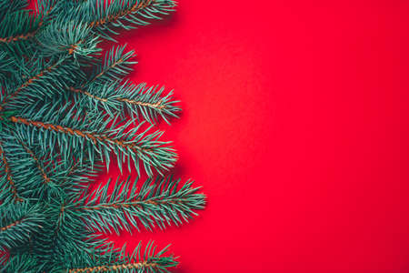 Fir branches on red background. Christmas wallpaper. Flat lay, copy space.の写真素材