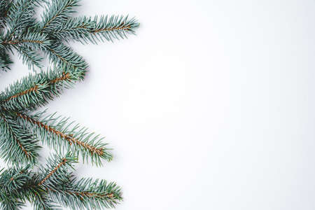 Fir branches on white wooden background. Christmas wallpaper. Flat lay, copy space.の写真素材
