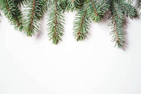 Fir branches on white wooden background. Christmas wallpaper. Flat lay, copy space.の写真素材