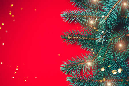 Fir branches with blurred lights garland on a red background. Christmas wallpaper. Flat lay, copy space.の写真素材