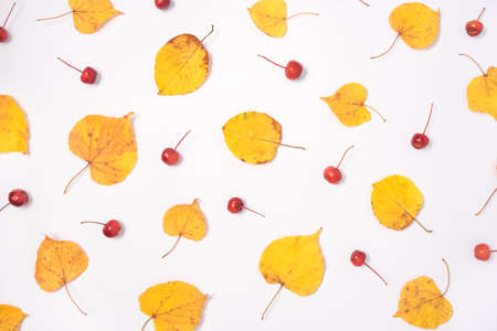 Autumn composition of yellow leaves and red berries on a white background. Flat lay, top view.の写真素材