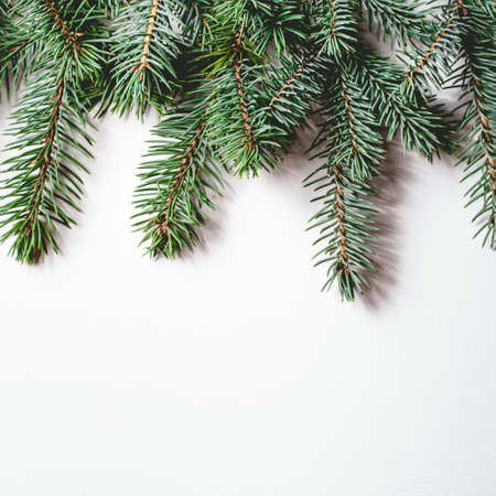 Fir branches on white wooden background. Christmas wallpaper. Flat lay, copy space.の写真素材