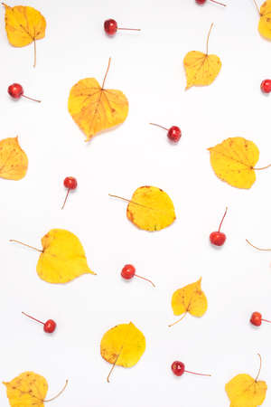 Autumn composition of yellow leaves and red berries on a white background. Flat lay, top view.の写真素材