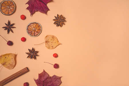 Autumn pattern of leaves, spices and berries on pastel background. Flat lay, top view. Copy space for your text.の写真素材