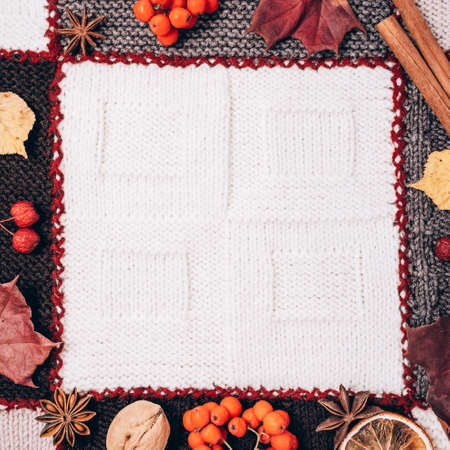 Frame made of autumn leaves, berries and spices on the background of knitted plaid. Flat lay, copy...