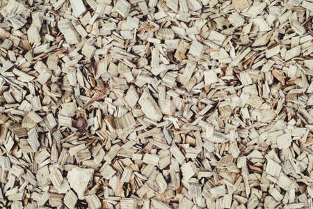 Wood sawdust texture for background. Top view.の写真素材