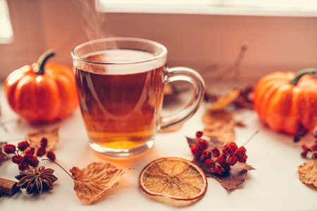 Hot steaming Cup of tea with autumn leaves, pumpkins and spices on the windowsill. Autumn mood.の写真素材