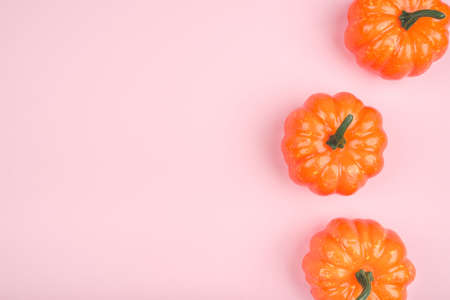 Pink background with pumpkins. Copy space for your text.の写真素材