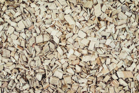 Wood sawdust texture for background. Top view.の写真素材