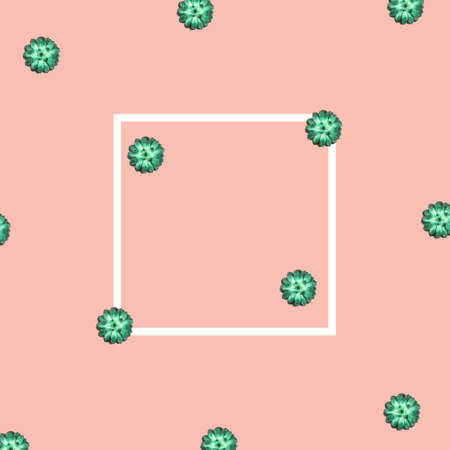 Beautiful green succulent on coral background. Flat lay, top view.の写真素材