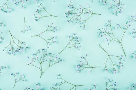 Beautiful flower background of blue gypsophila flowers. Flat lay, top view. Floral pattern.の写真素材