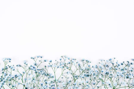 Beautiful flower frame of blue gypsophila flowers. Flat lay, top view. Floral pattern.の写真素材