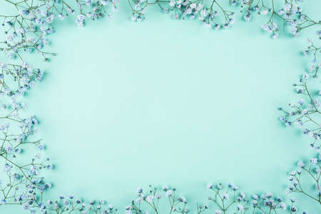 Beautiful flower frame of blue gypsophila flowers. Flat lay, top view. Floral pattern.の写真素材