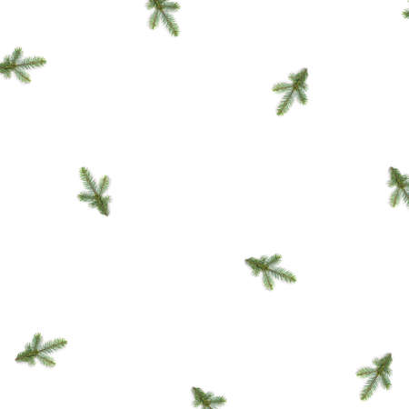 Christmas pattern of a branch of fir isolated on white background. Flat lay, top view.の写真素材