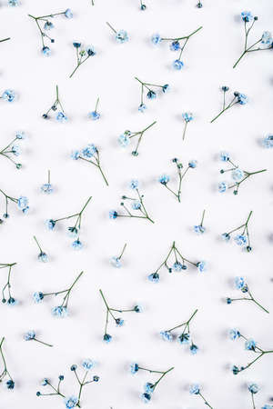 Beautiful flower background of blue gypsophila flowers. Flat lay, top view. Floral pattern.の写真素材