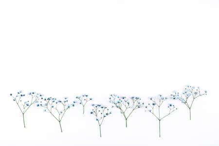 Beautiful flower frame of blue gypsophila flowers. Flat lay, top view. Floral pattern.の写真素材