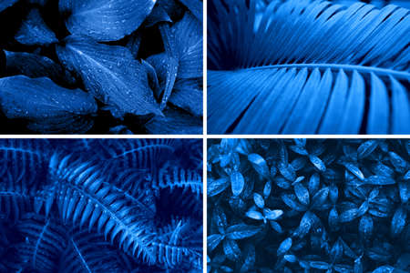Creative collage tinted in trend blue color.の写真素材