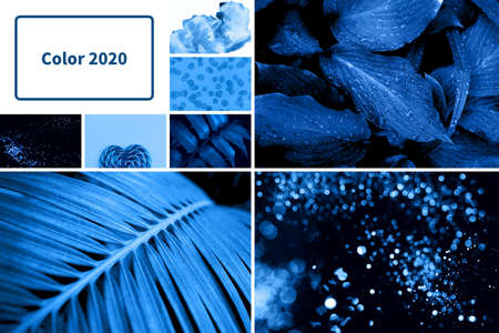 Creative collage tinted in trendy blue color.の写真素材