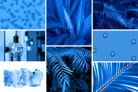 Creative collage tinted in trend blue color.の写真素材