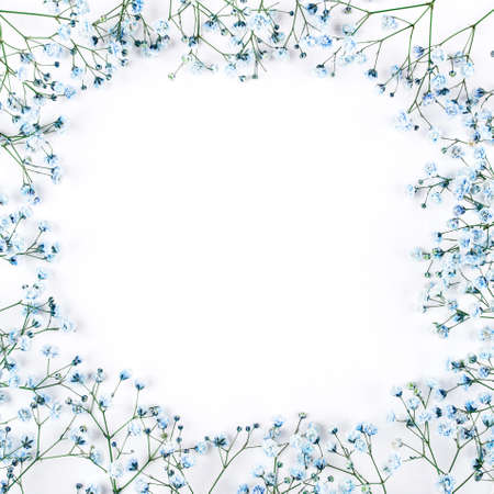 Beautiful flower frame of blue gypsophila flowers. Flat lay, top view. Floral pattern.の写真素材