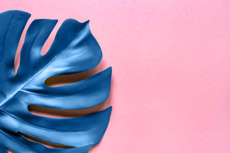 Blue monstera leaf on a pink background. Flat lay, top view. Main color of year 2020.の写真素材