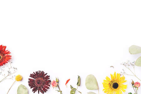Frame of dry flowers on white background. Flat lay, top view. Copy space for text.の写真素材