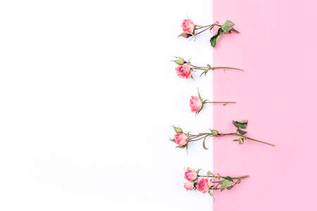 Frame of dried rose flowers on white and pink background. Flat lay, top view. Copy space for text.の写真素材